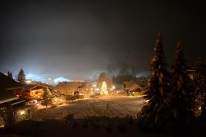 Forest Mountain Apartment during the winter