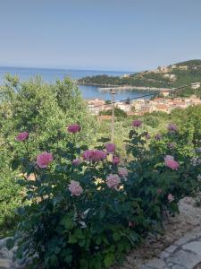 a bush of flowers with a view of the water at Naiad Studio in Póros Kefalonias