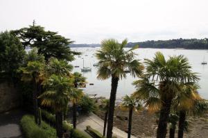 a group of palm trees in front of a body of water at Résidence du Prieuré in Dinard