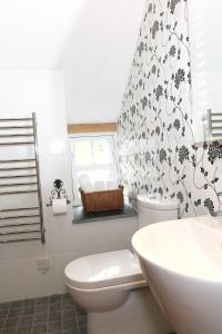 La salle de bains est pourvue de toilettes blanches et d'un lavabo. dans l'établissement Ponycob hot tub 2 bed ensuite, à Llwyn-Dafydd