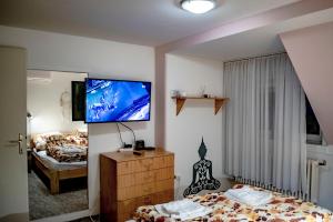 TV tai viihdekeskus majoituspaikassa Katyca Apartman
