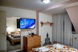 Televízia a/alebo spoločenská miestnosť v ubytovaní Katyca Apartman