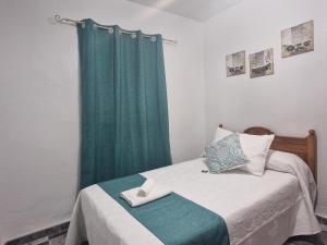 1 dormitorio con 1 cama con cortina verde en Casa Rural ¨Villa Vivares¨ 3*, en Miajadas