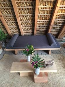 a blue couch and a table with plants and a cat at Peaceful beachside artist-designed in Puerto Escondido