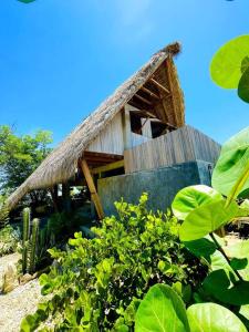 Cabaña pequeña con techo de paja y algunas plantas en Peaceful beachside artist-designed, en Puerto Escondido