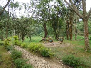 Ein Garten an der Unterkunft Nshongi Camp
