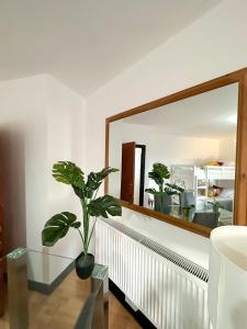 a plant sitting on a glass table in front of a mirror at 210 coldharbour lane in London