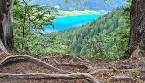 Paesaggio naturale nelle vicinanze dell'hotel