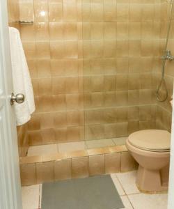 uma casa de banho com um WC e um chuveiro em casa acogedora de 3 habitaciones em Santa Bárbara de Samaná