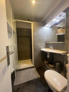 a bathroom with a shower and a toilet and a sink at NOTRE DAME - STYLISH APARTMENT in Paris