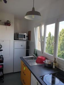 uma pequena cozinha com um lavatório e uma janela em T2 refait à neuf entre Paris et Disneyland Paris em Rosny-sous-Bois
