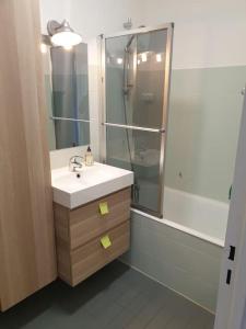 La salle de bains est pourvue d'un lavabo et d'une douche. dans l'établissement T2 refait à neuf entre Paris et Disneyland Paris, à Rosny-sous-Bois