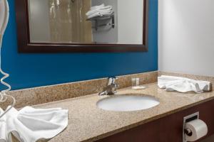 a bathroom counter with a sink and a mirror at Premier Inn & Suites - Downtown Hamilton in Hamilton