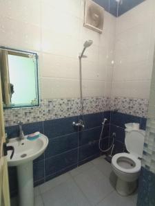 a bathroom with a shower and a toilet and a sink at City Center Guest house and Hostel in Aswan