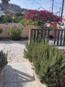 a garden with pink flowers on a fence at Aelia House in Kos Town