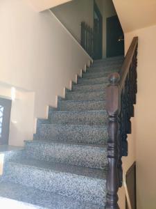 a staircase in a house with blue carpet at Appartamento Dimora dei marchi in Cosenza