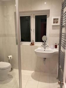 a bathroom with a sink and a toilet at Marina View in Newcastle upon Tyne