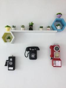 a white shelf with a camera and some plants at Cameron Hill Homestay in Tanah Rata