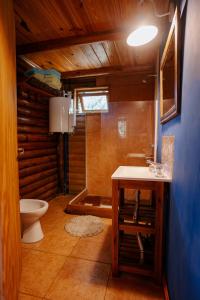 y baño con aseo, lavabo y ducha. en Namasté Cabaña Tandil en Tandil
