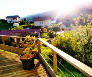 a plant in a pot on a wooden deck at Appartement Maison Vosgienne La Bresse Centre in La Bresse