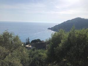 a house on a hill next to the ocean at Casa Orchidea - Vista Mare meravigliosa in Bonassola