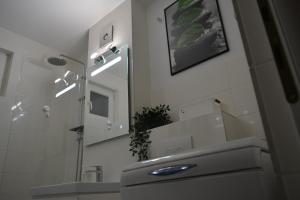 ein Badezimmer mit Waschbecken und Spiegel in der Unterkunft M@D Music Apartment in Timişoara + 35 Fotos