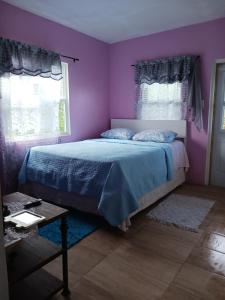 a purple bedroom with a bed and two windows at Teverence in Sandy Point Town