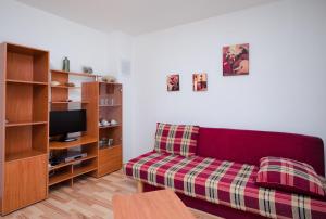 Televízia a/alebo spoločenská miestnosť v ubytovaní Apartments Blazenka