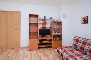 Televízia a/alebo spoločenská miestnosť v ubytovaní Apartments Blazenka