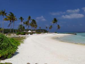 a white beach with palm trees and the ocean at Courtyard Guesthouse in Huraa