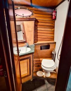 La petite salle de bains est pourvue de toilettes et d'un lavabo. dans l'établissement Motobarca Oceania, à La Spezia