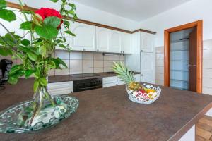Kuchyň nebo kuchyňský kout v ubytování Apartments Vila Antula