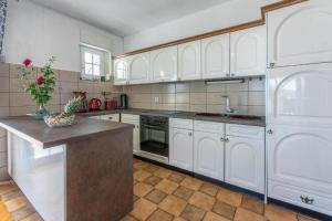 Kuchyň nebo kuchyňský kout v ubytování Apartments Vila Antula