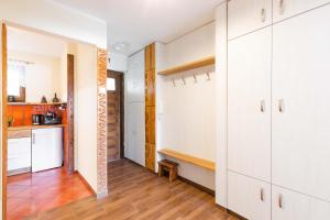 Kuchyňa alebo kuchynka v ubytovaní Apartament Cztery Tulipany Zakopane