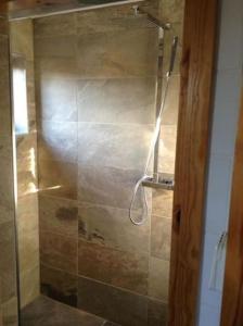 een douche met een glazen deur in de badkamer bij Red Squirrel log cabin with hot tub in Keith