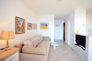 TV a/nebo společenská místnost v ubytování Apartment Andreas