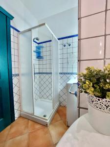a glass shower in a bathroom with a plant at Jennas-Maestrale Apartment in Àrbatax