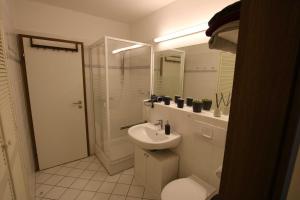 a bathroom with a sink and a toilet and a shower at Ferienwohnung Marie in Bad Bevensen