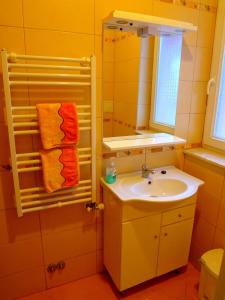 オロシュハーザにあるHorváth Vendégházのバスルーム(洗面台、鏡付)