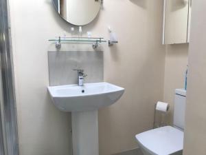 a bathroom with a sink and a mirror and a toilet at Self contained studio with own front door in Nazeing
