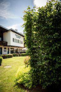 a large green bush in front of a building at Hotel Russweiher in Eschenbach in der Oberpfalz
