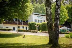 a building in a park with a tree at Hotel Russweiher in Eschenbach in der Oberpfalz