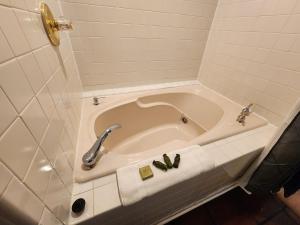 Koupelna v ubytování Elder Mountain Room at Tennessee RiverPlace