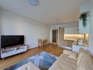 a living room with a couch and a flat screen tv at Vltava apartments in Prague