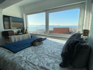 Fotografie z fotogalerie ubytování Santander full bahia views v destinaci Santander