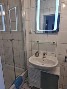a bathroom with a sink and a shower and a mirror at Gäth Thomsdorf in Riepsdorf
