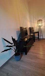 een woonkamer met een stoel, een tafel en een plant bij Waldstadt-Apartments in Iserlohn