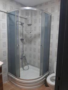 eine Dusche im Bad mit WC in der Unterkunft mert apartman in Istanbul