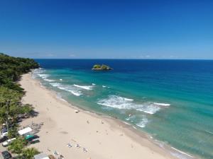 a beach with a group of people in the ocean at Cariblue Beach and Jungle Resort in Puerto Viejo