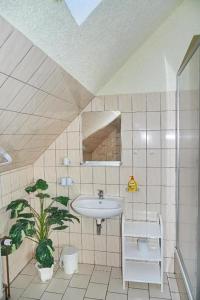 Schwalbenhof Wöllnau في Doberschütz: حمام مع حوض وزرع الفخار
